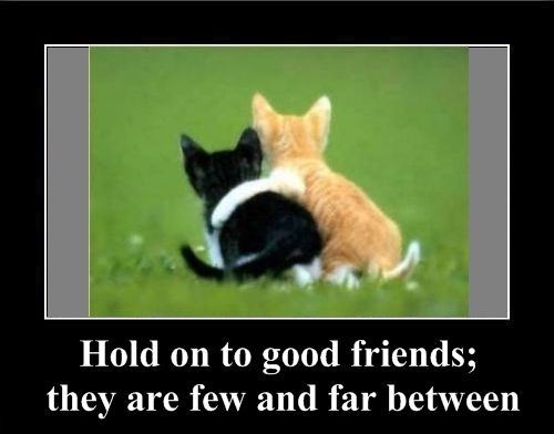 Positive emotion of the Day (37 pics)