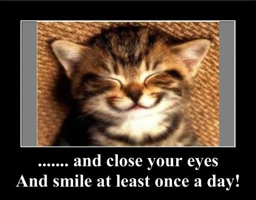 Positive emotion of the Day (37 pics)