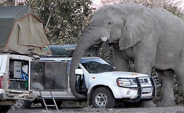 Look who’s come to see us! (12 pics)