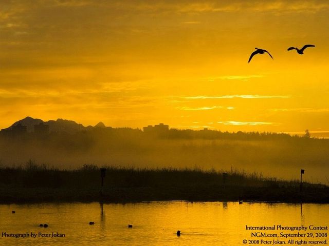International Photography Contest. Part 3 (50 photos)