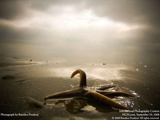 International Photography Contest. Part 3 (50 photos)