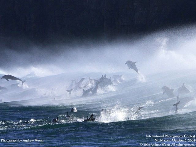 International Photography Contest. Part 3 (50 photos)