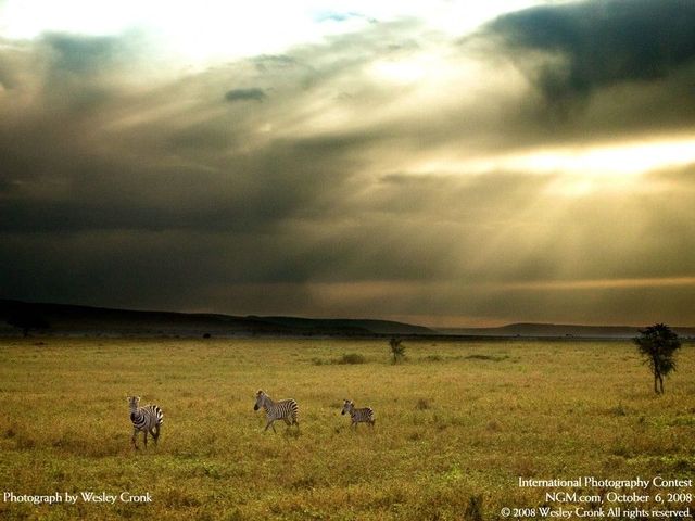 International Photography Contest. Part 3 (50 photos)