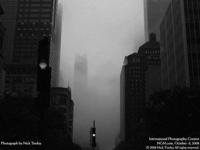 International Photography Contest. Part 3 (50 photos)