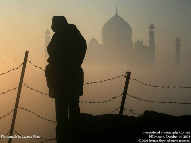 International Photography Contest. Part 3 (50 photos)