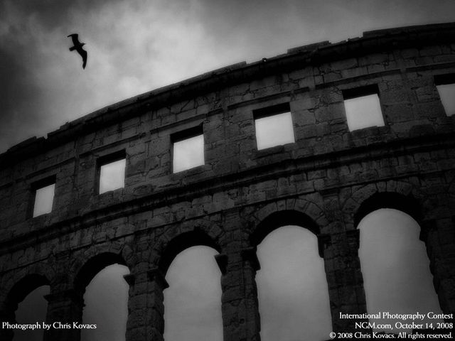 International Photography Contest. Part 3 (50 photos)