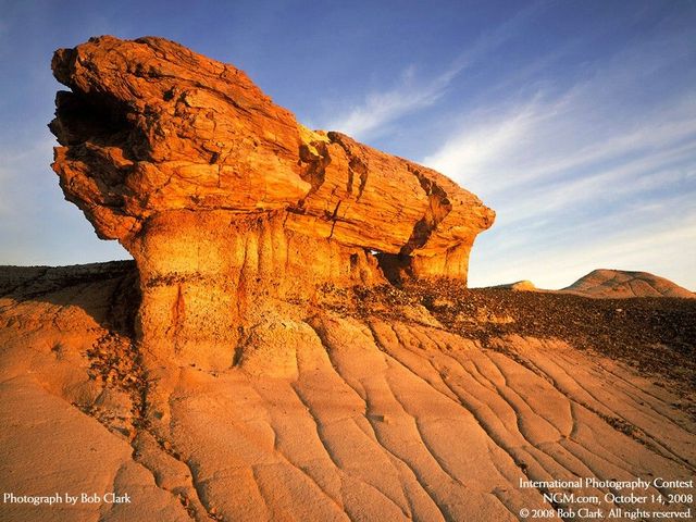 International Photography Contest. Part 3 (50 photos)