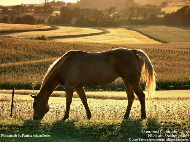 International Photography Contest. Part 3 (50 photos)