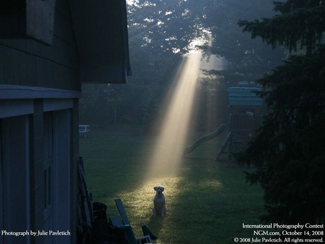 International Photography Contest. Part 3 (50 photos)