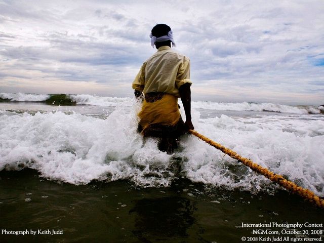 International Photography Contest. Part 3 (50 photos)