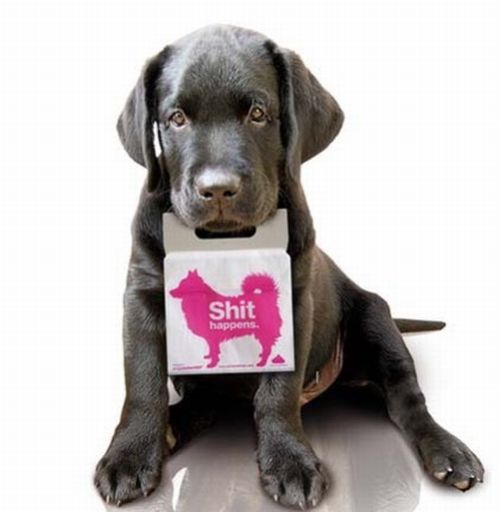 Hilarious pet ads (10 photos)