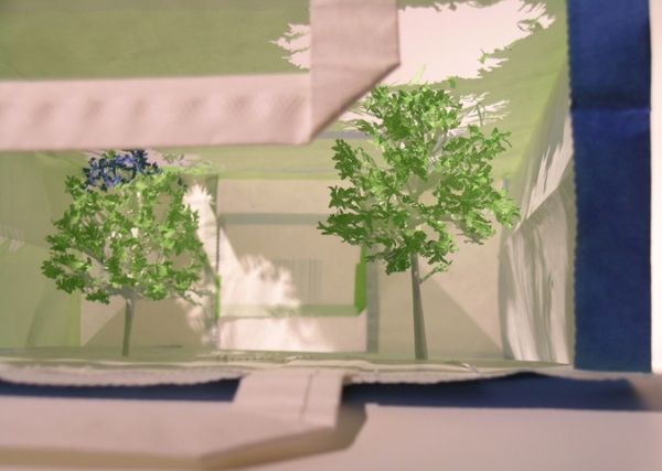 Yuken Teruya is growing paper trees (11 photos)