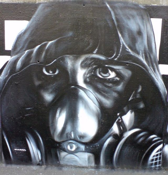 Amazing graffiti of painter TRANS (61 pics)