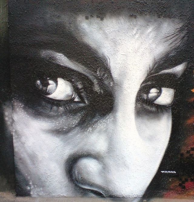 Amazing graffiti of painter TRANS (61 pics)