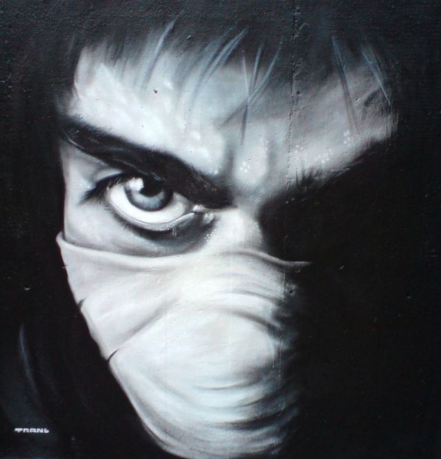 Amazing graffiti of painter TRANS (61 pics)