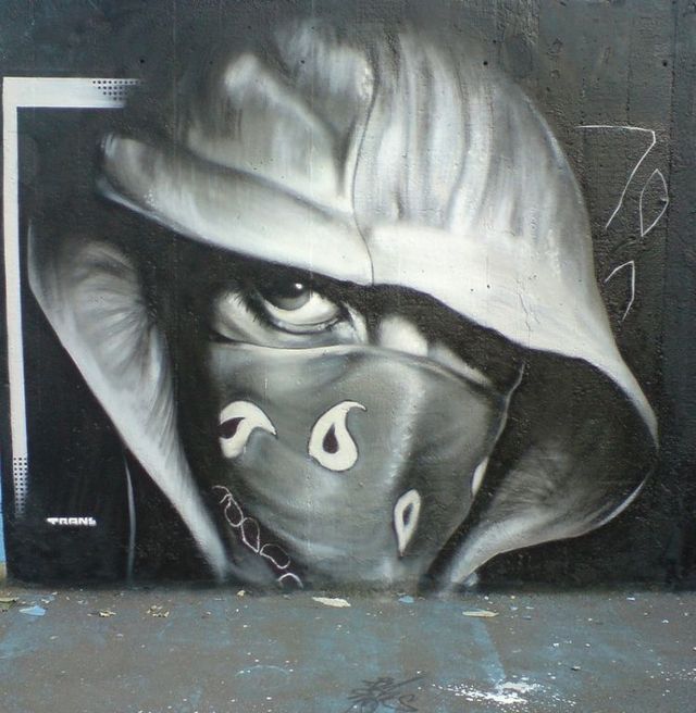 Amazing graffiti of painter TRANS (61 pics)