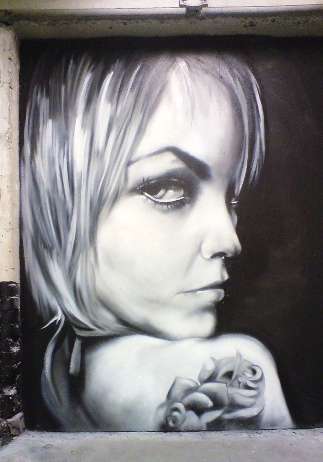 Amazing graffiti of painter TRANS (61 pics)