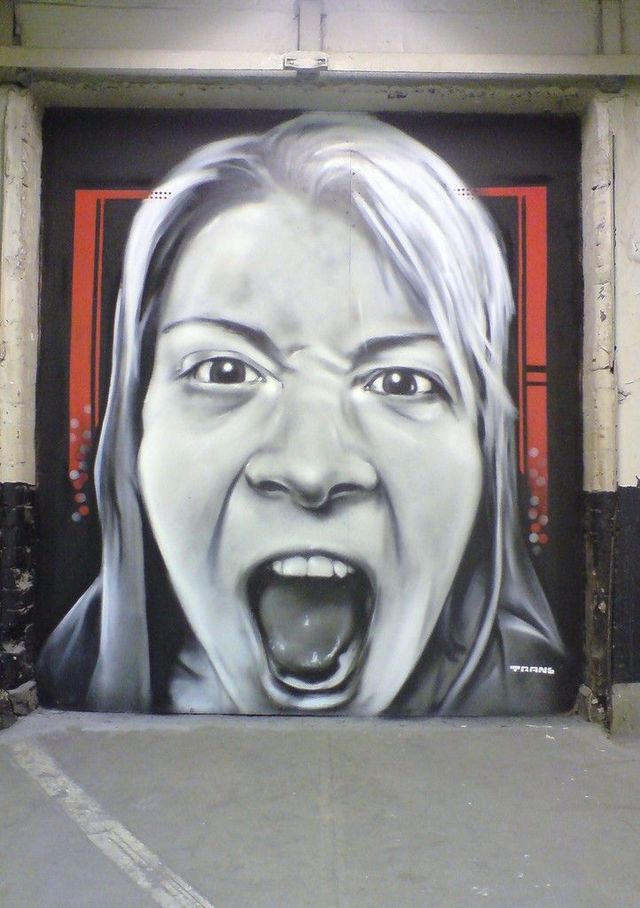 Amazing graffiti of painter TRANS (61 pics)