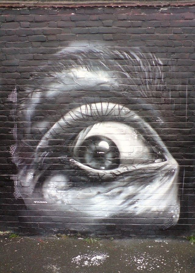 Amazing graffiti of painter TRANS (61 pics)
