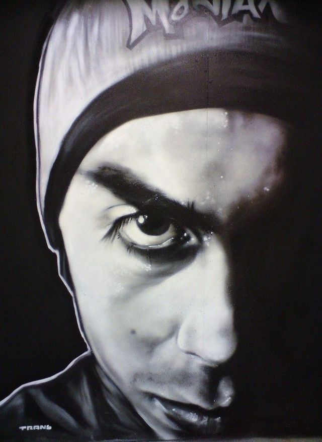 Amazing graffiti of painter TRANS (61 pics)