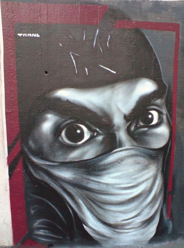 Amazing graffiti of painter TRANS (61 pics)