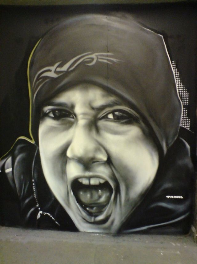 Amazing graffiti of painter TRANS (61 pics)