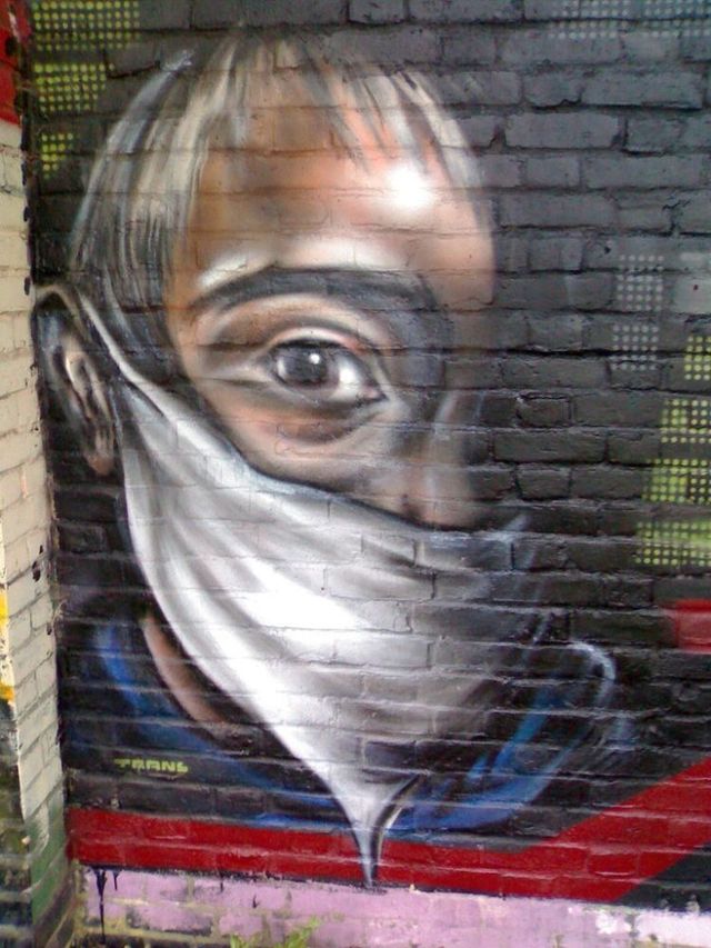 Amazing graffiti of painter TRANS (61 pics)