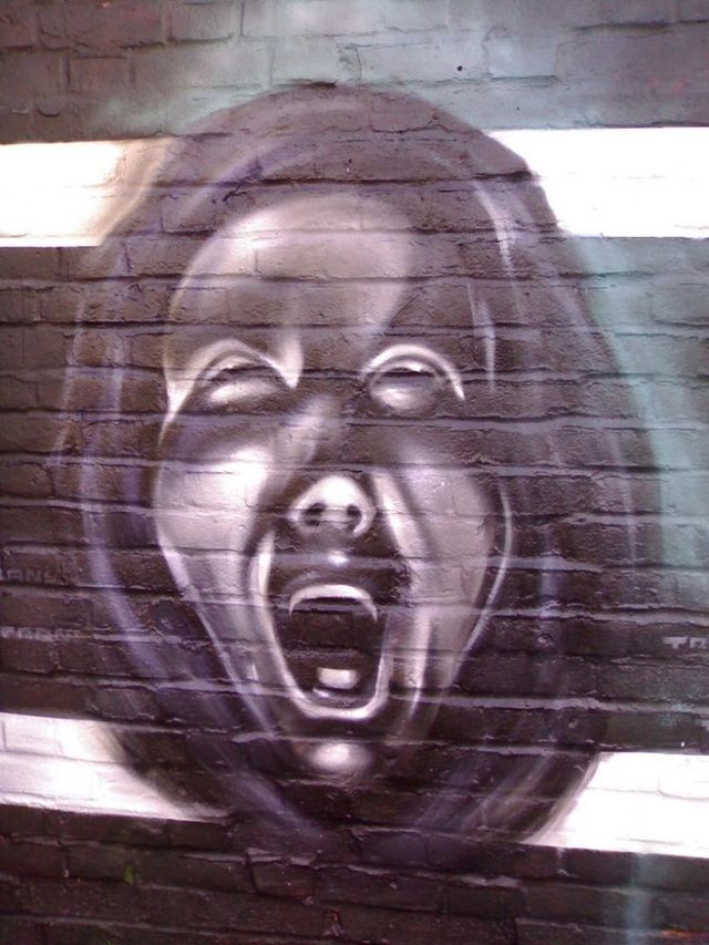 Amazing graffiti of painter TRANS (61 pics)