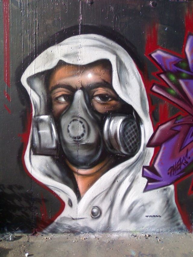 Amazing graffiti of painter TRANS (61 pics)