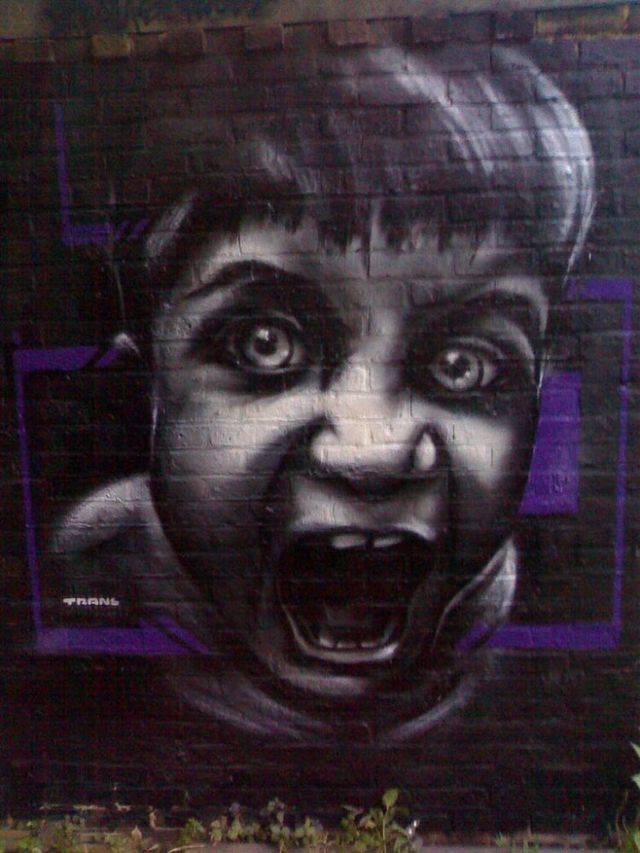 Amazing graffiti of painter TRANS (61 pics)