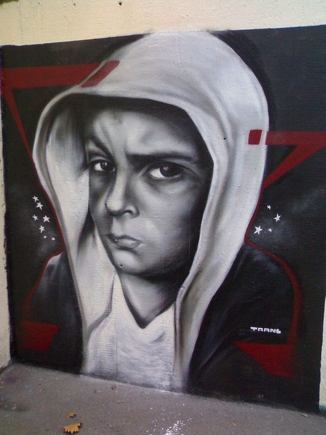 Amazing graffiti of painter TRANS (61 pics)