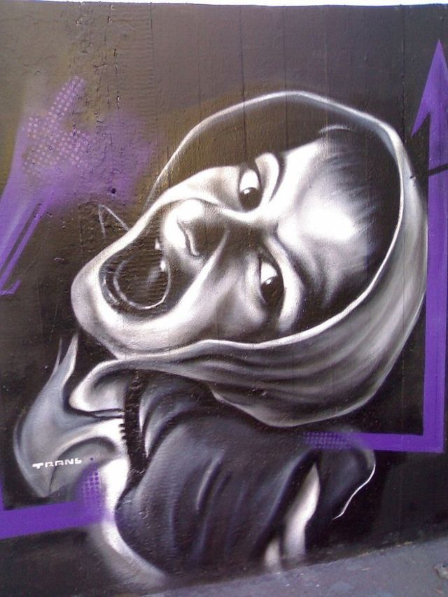 Amazing graffiti of painter TRANS (61 pics)