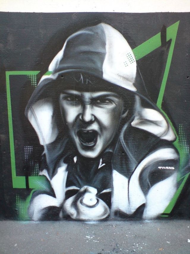 Amazing graffiti of painter TRANS (61 pics)
