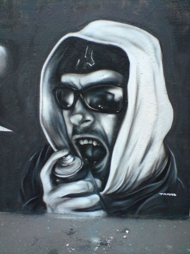 Amazing graffiti of painter TRANS (61 pics)