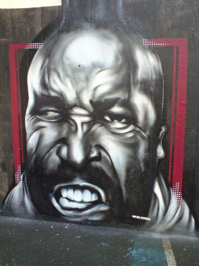 Amazing graffiti of painter TRANS (61 pics)