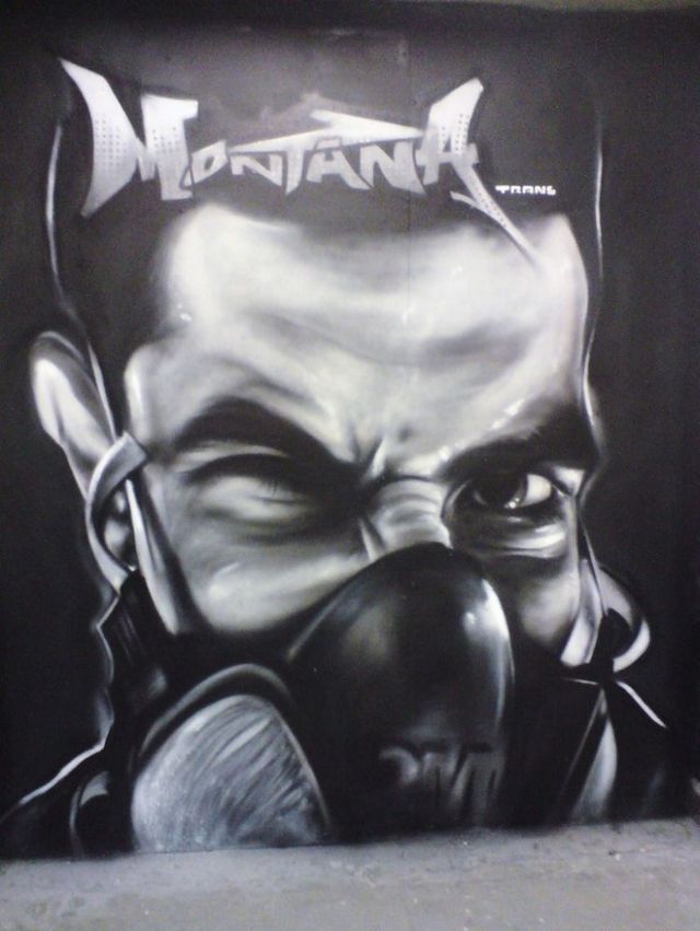 Amazing graffiti of painter TRANS (61 pics)