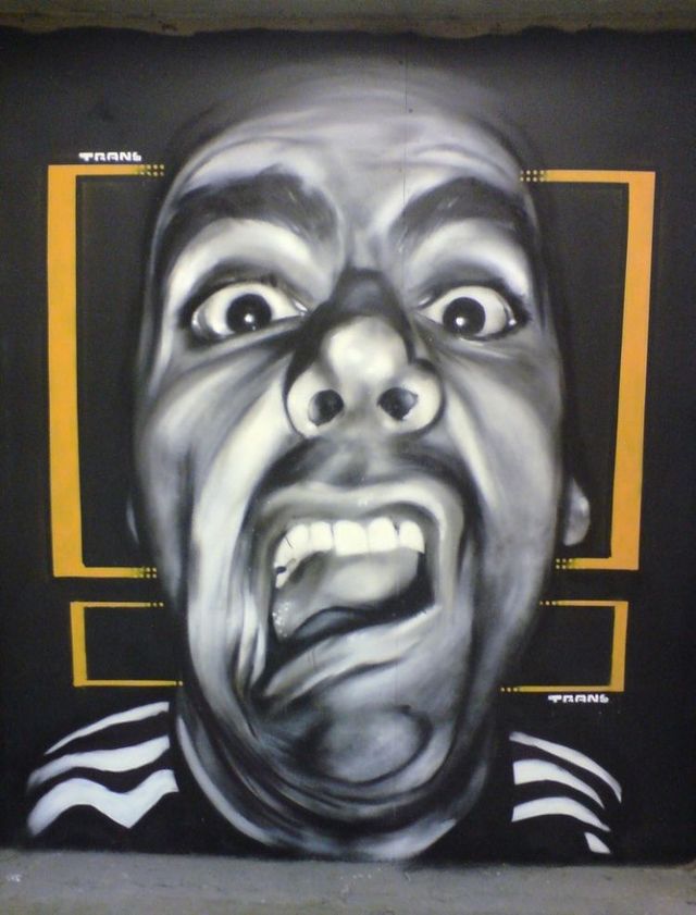 Amazing graffiti of painter TRANS (61 pics)