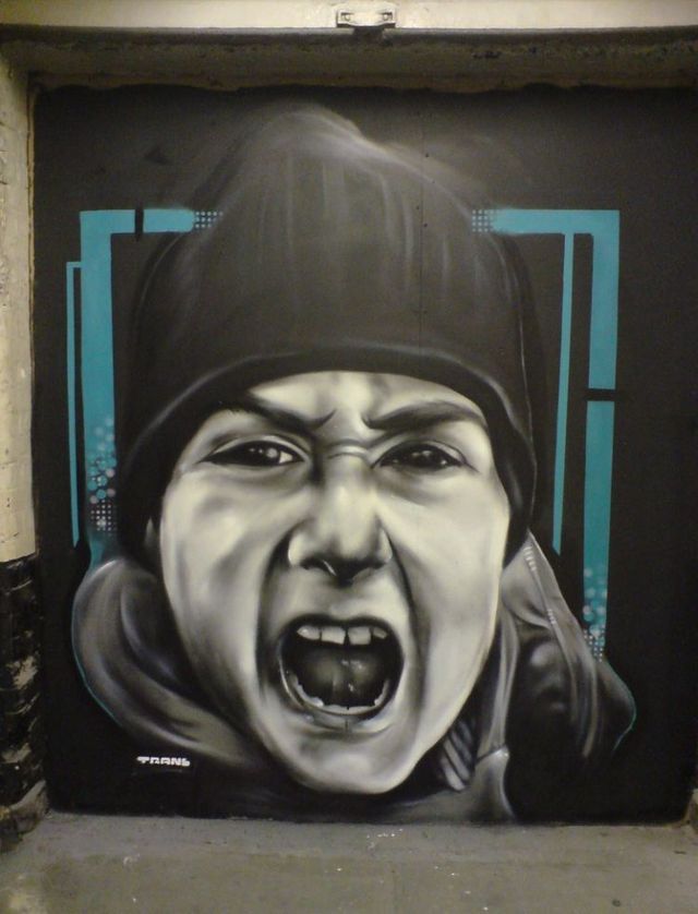 Amazing graffiti of painter TRANS (61 pics)