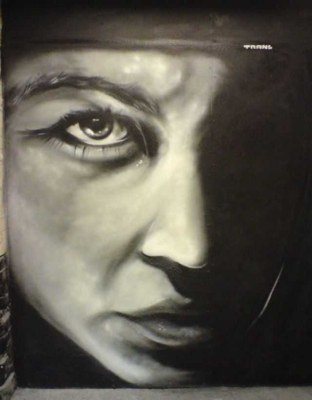 Amazing graffiti of painter TRANS (61 pics)