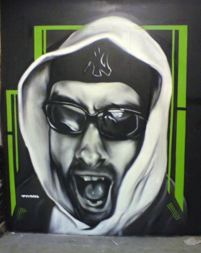 Amazing graffiti of painter TRANS (61 pics)
