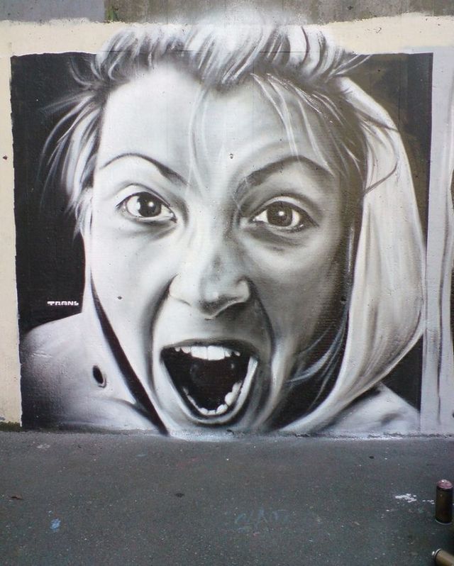 Amazing graffiti of painter TRANS (61 pics)