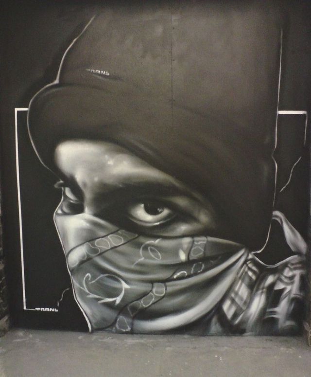 Amazing graffiti of painter TRANS (61 pics)