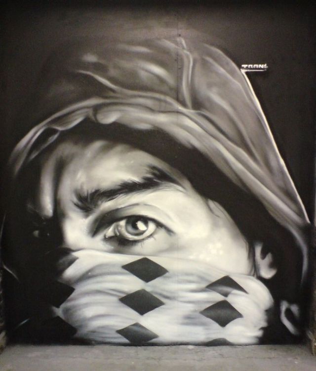 Amazing graffiti of painter TRANS (61 pics)