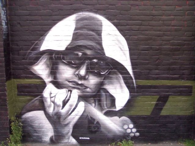 Amazing graffiti of painter TRANS (61 pics)