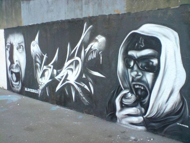 Amazing graffiti of painter TRANS (61 pics)