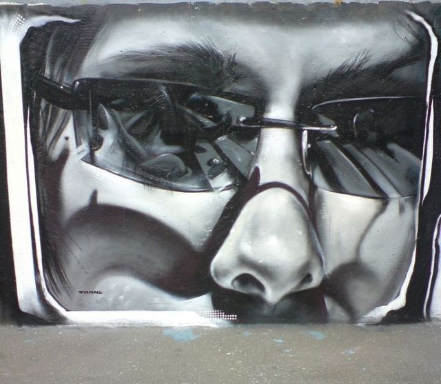 Amazing graffiti of painter TRANS (61 pics)