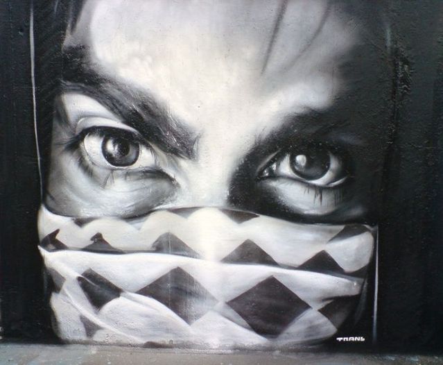 Amazing graffiti of painter TRANS (61 pics)