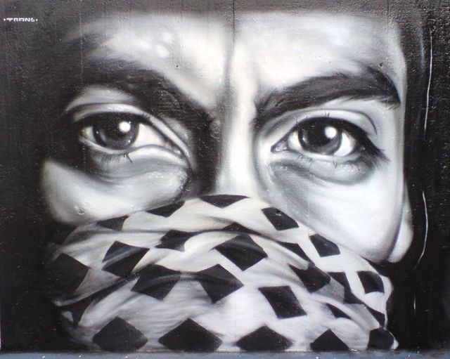 Amazing graffiti of painter TRANS (61 pics)