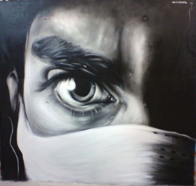 Amazing graffiti of painter TRANS (61 pics)