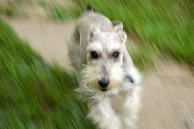 Movement pictures. Part 2 (26 pics)